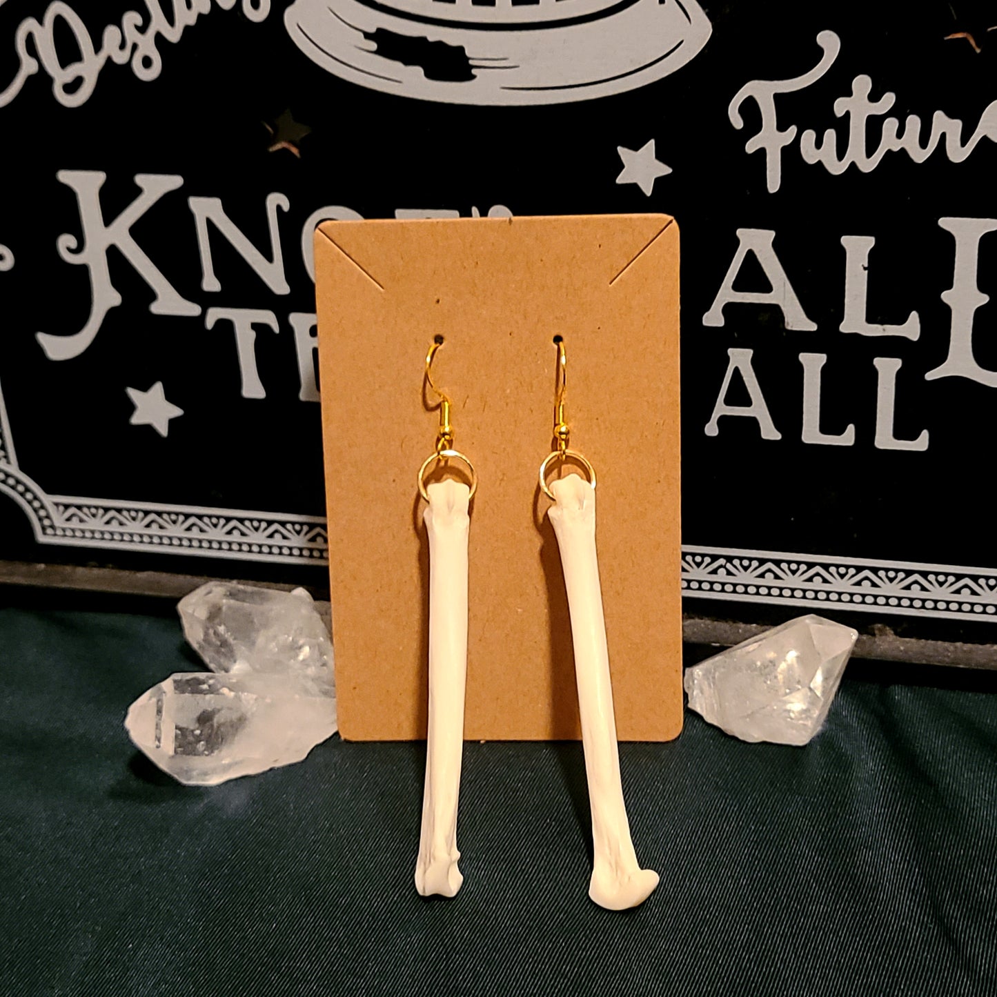 Coyote Metacarpal Earrings