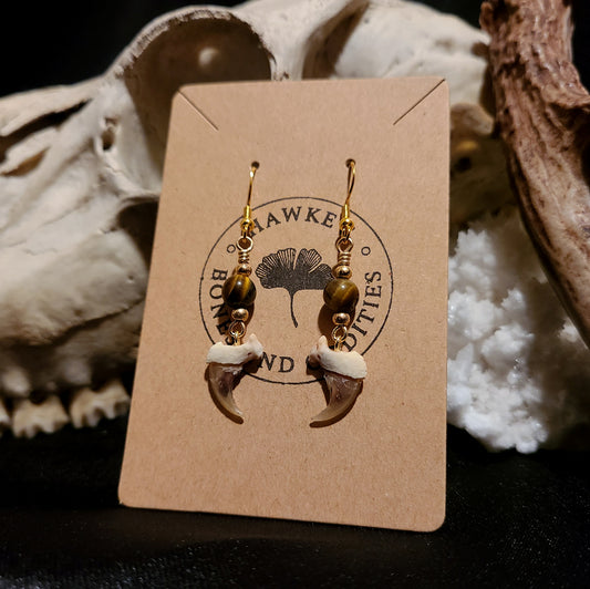 Bobcat Claw and Tiger's Eye Dangle Earrings