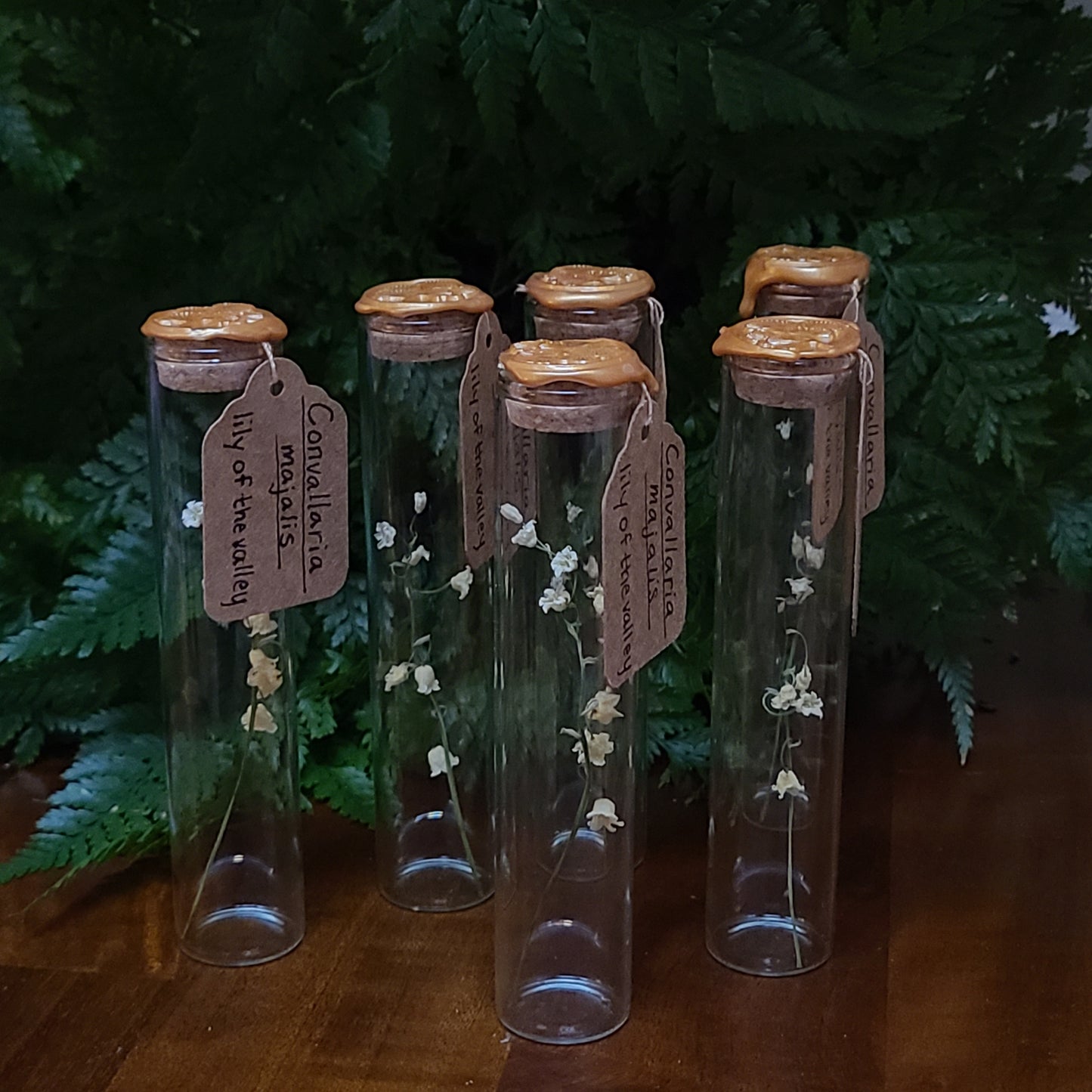 Lily of the Valley Specimen Vials