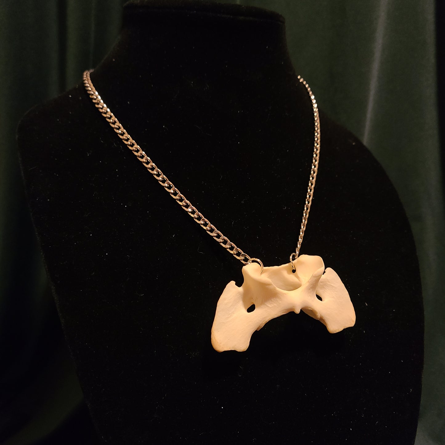Coyote Atlas Necklace