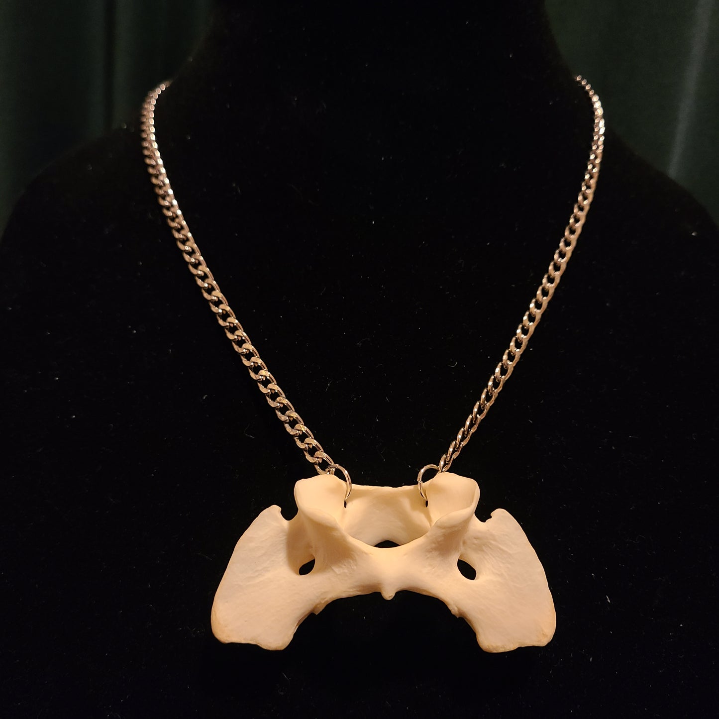 Coyote Atlas Necklace
