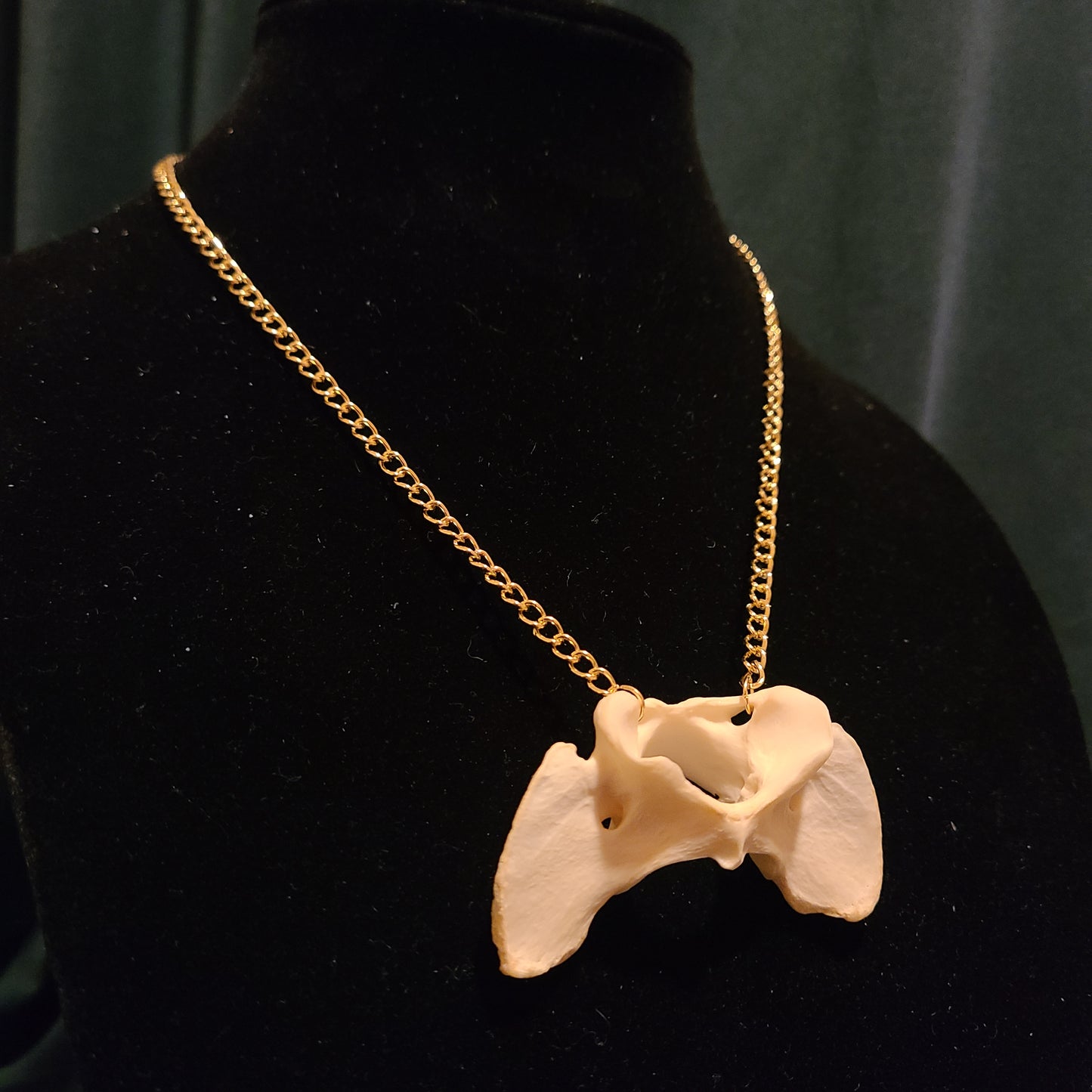 Coyote Atlas Necklace