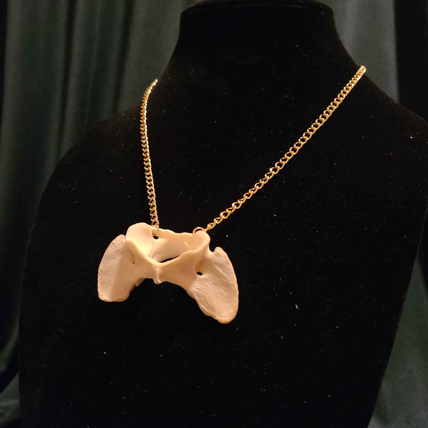 Coyote Atlas Necklace