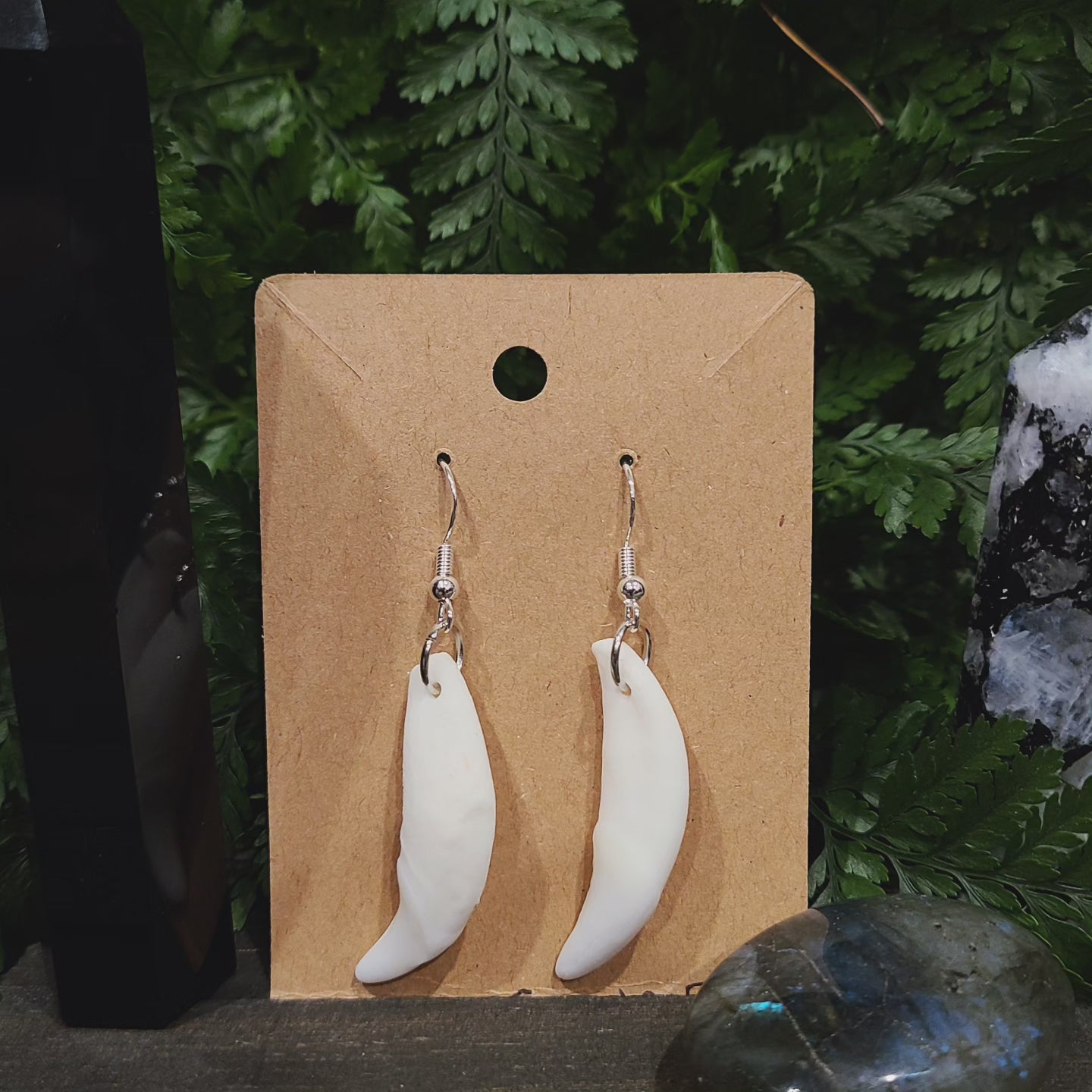 Coyote Fang Dangle Earrings