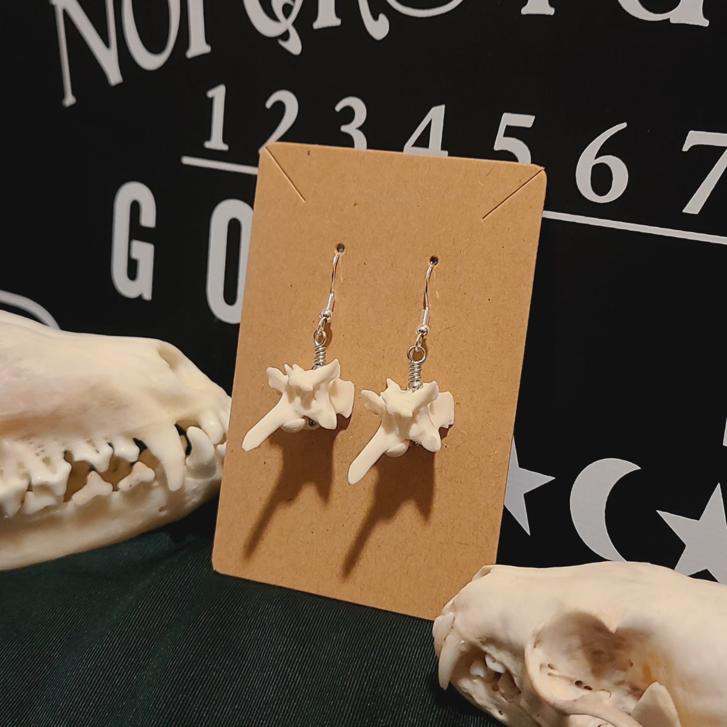 Rattlesnake Vertebrae Dangle Earrings