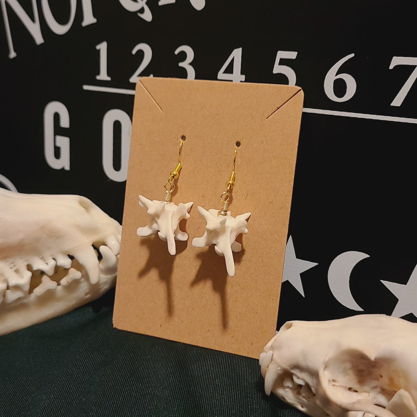 Rattlesnake Vertebrae Dangle Earrings