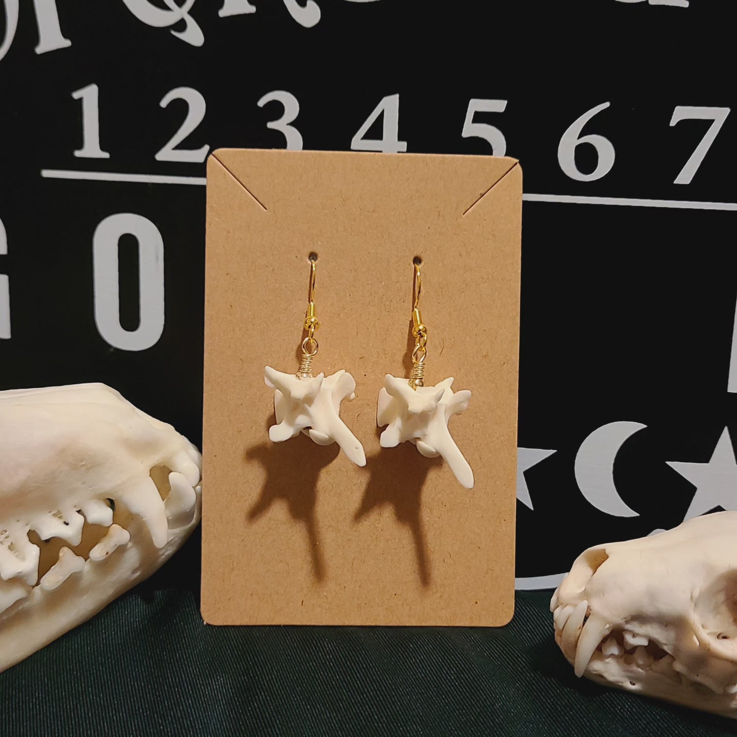 Rattlesnake Vertebrae Dangle Earrings