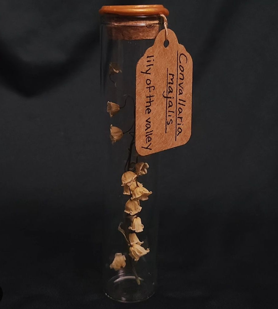 Lily of the Valley Specimen Vials