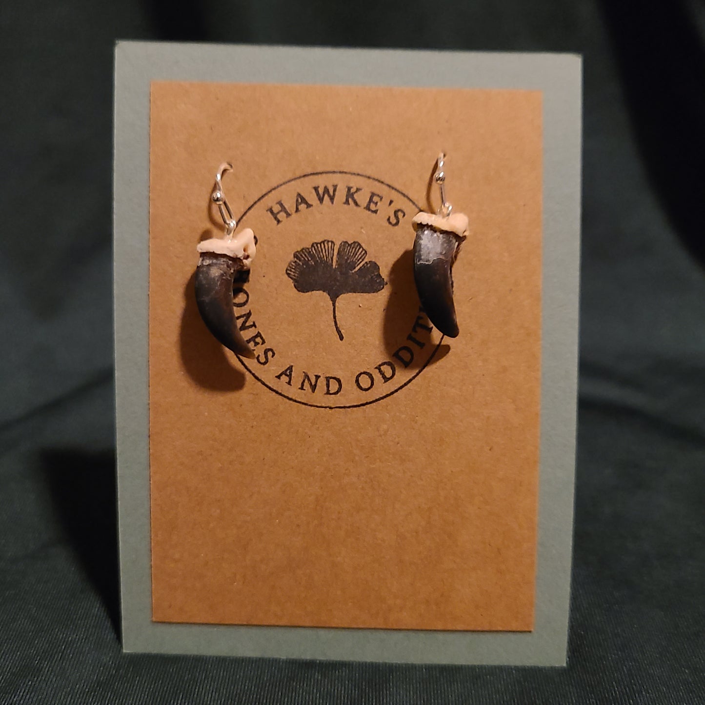 Coyote Claw Earrings