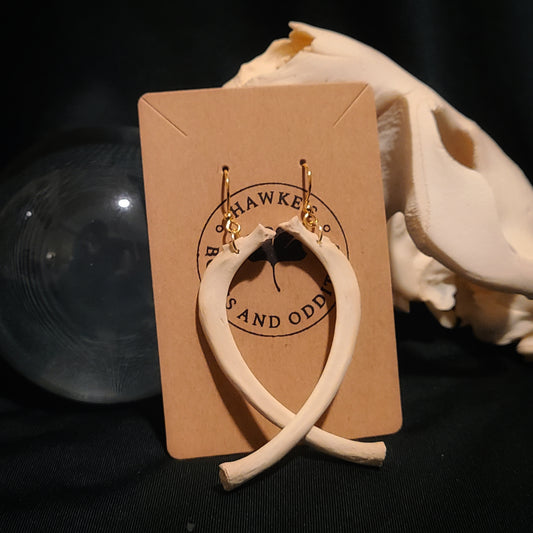 Beaver Rib Earrings