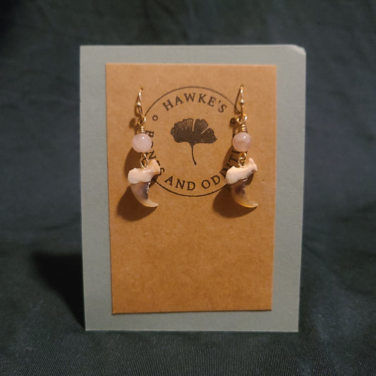 Bobcat Claw and Rose Quartz Dangle Earrings