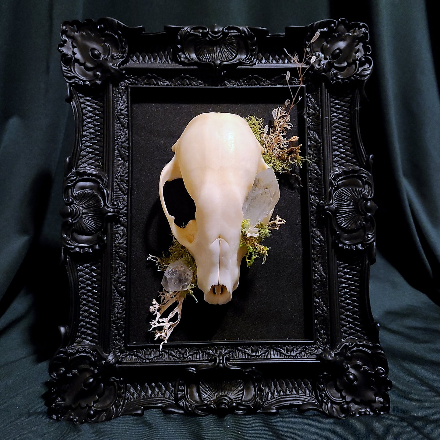 "Hollows Keeper"