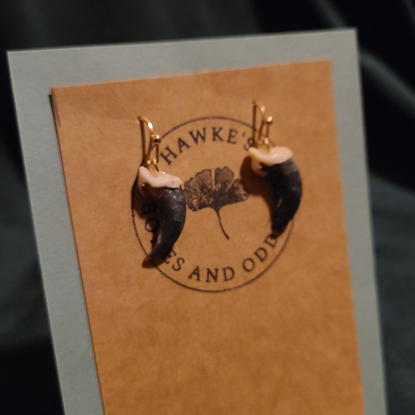 Coyote Claw Earrings