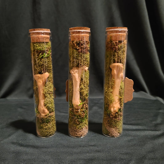 Beaver Foot Bone Curio Vial