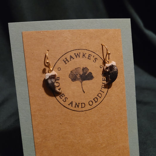 Raccoon Claw Dangle Earrings