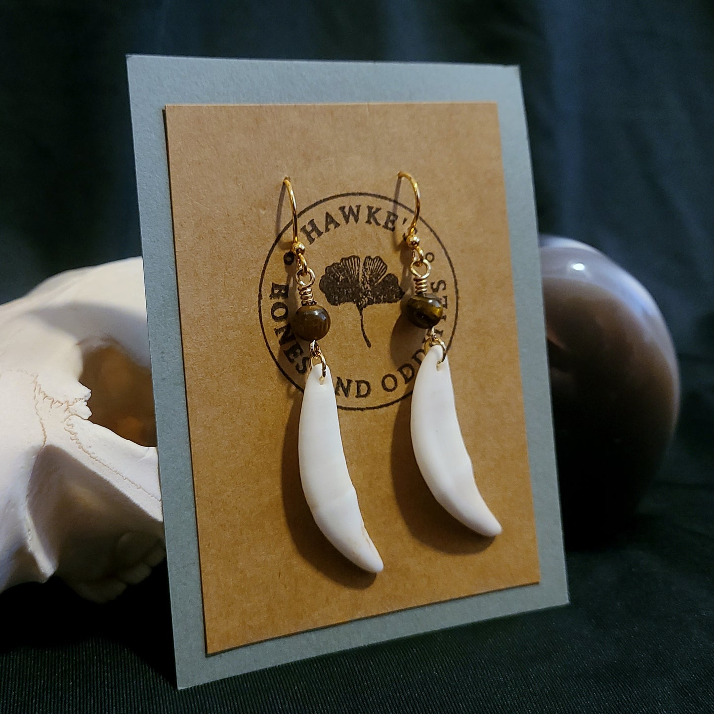 Coyote Canine and Tiger's Eye Dangle Earrings