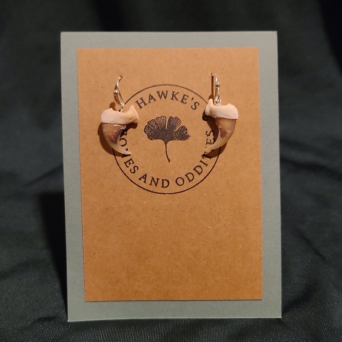 Bobcat Claw Earrings