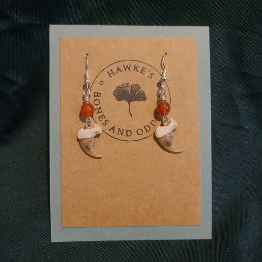 Bobcat Claw and Carnelian Dangle Earrings