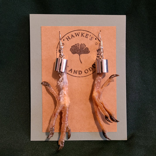 Feral Pigeon Feet Dangle Earrings