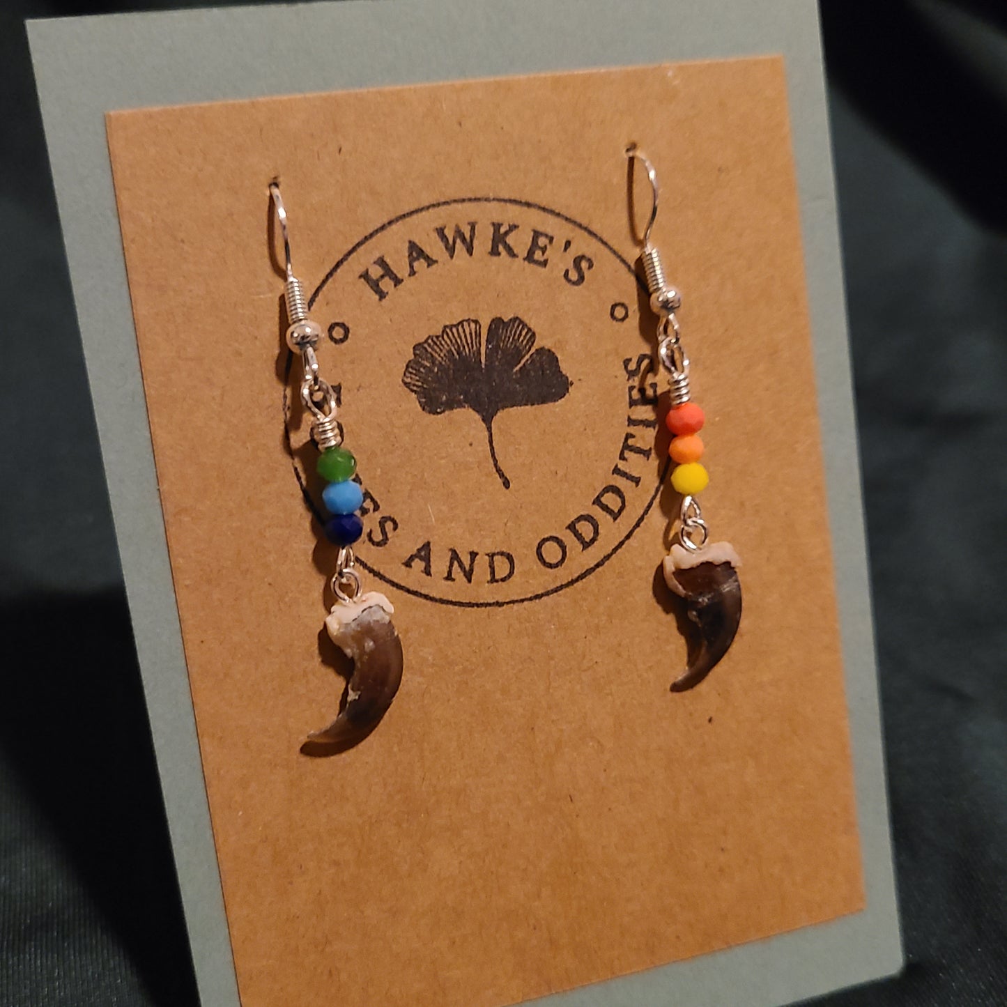 Pride Raccoon Claw Dangle Earrings
