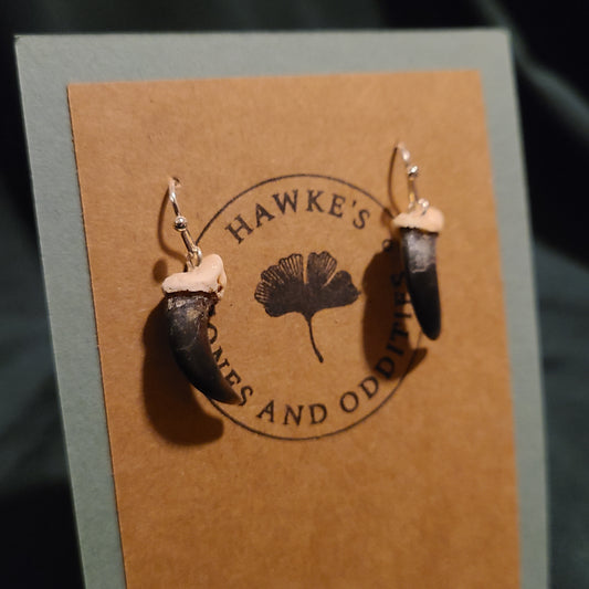 Coyote Claw Earrings