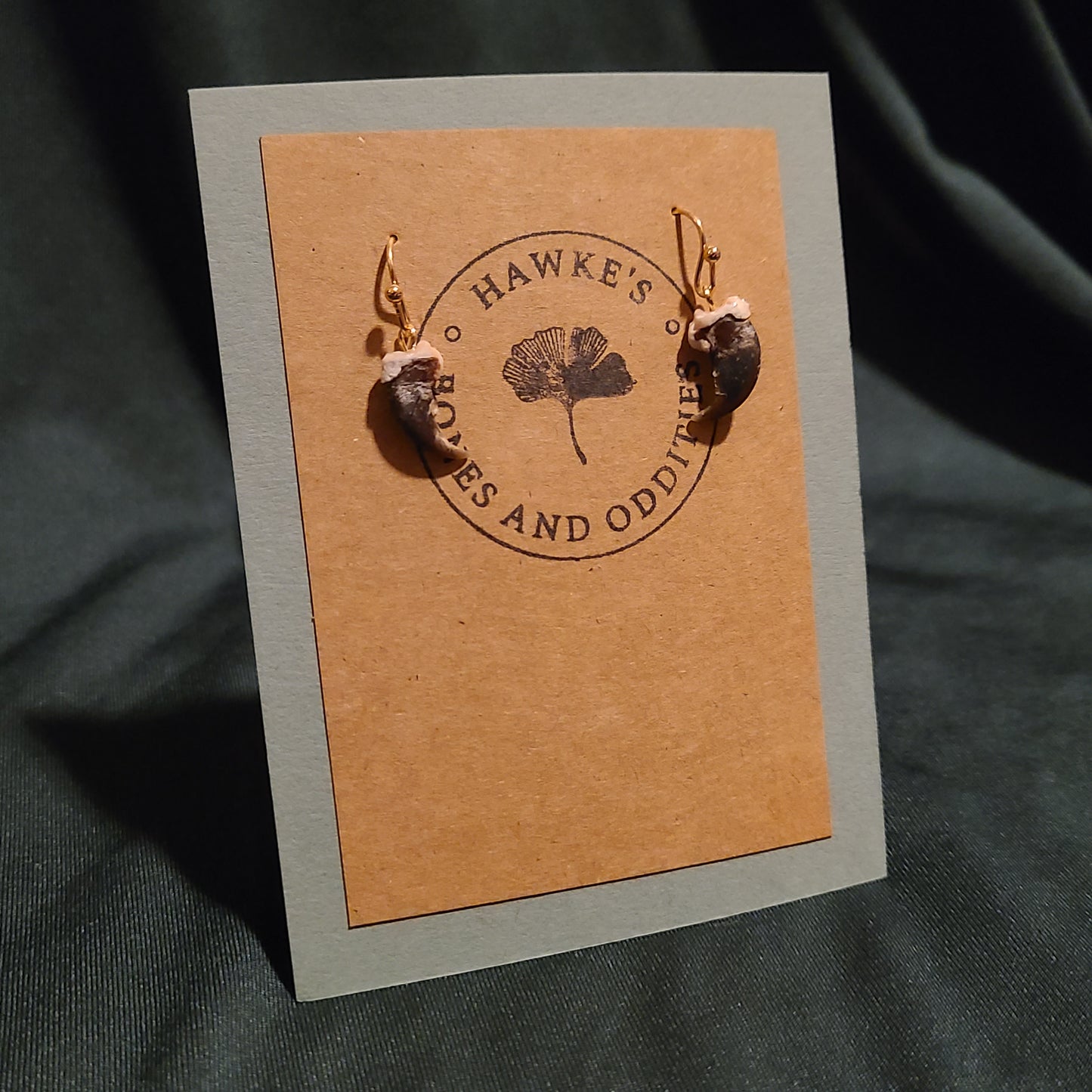Raccoon Claw Dangle Earrings