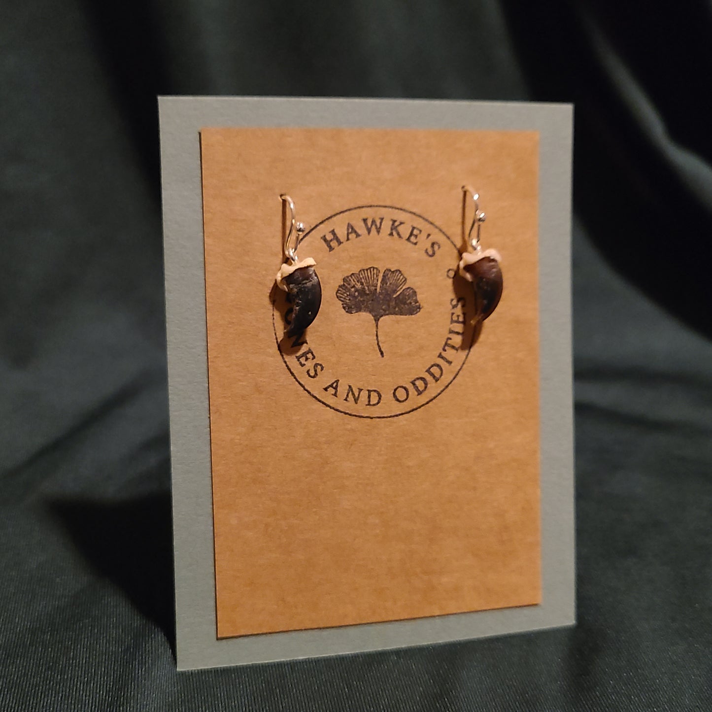 Raccoon Claw Dangle Earrings