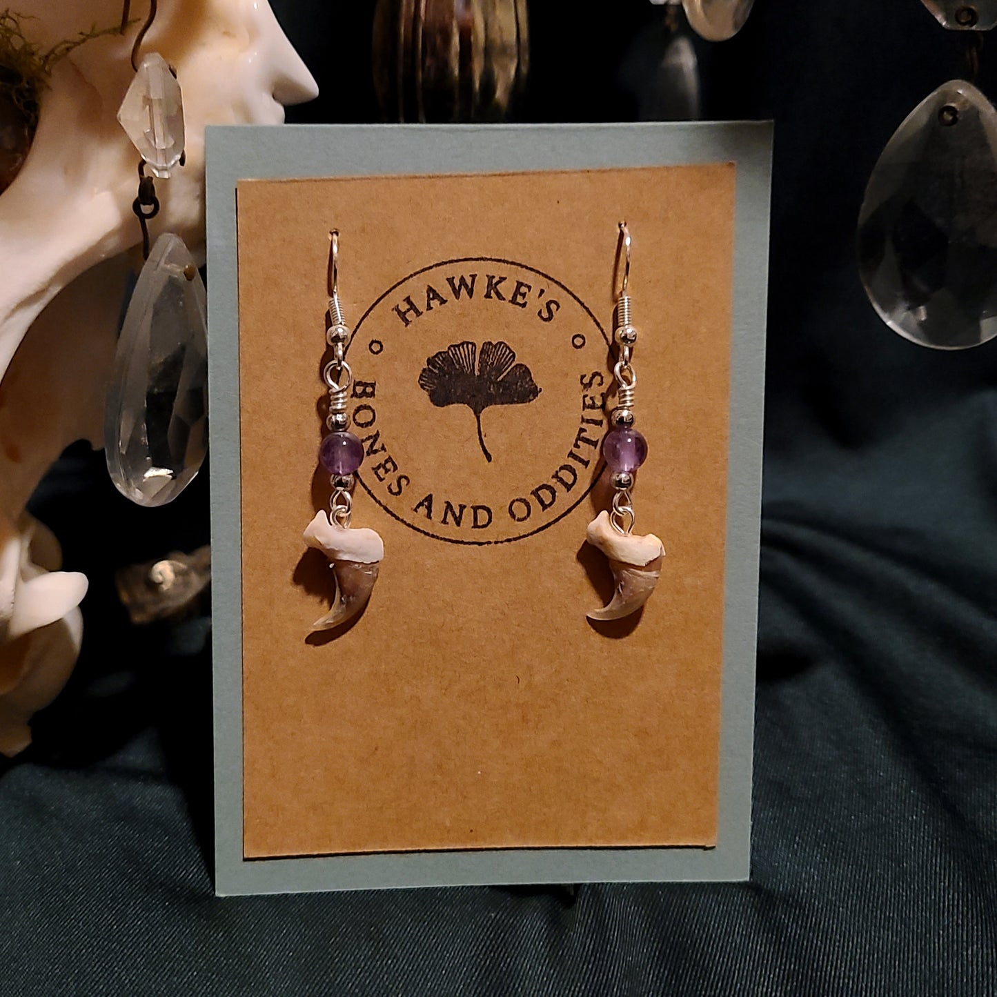 Bobcat Claw and Amethyst Dangle Earrings