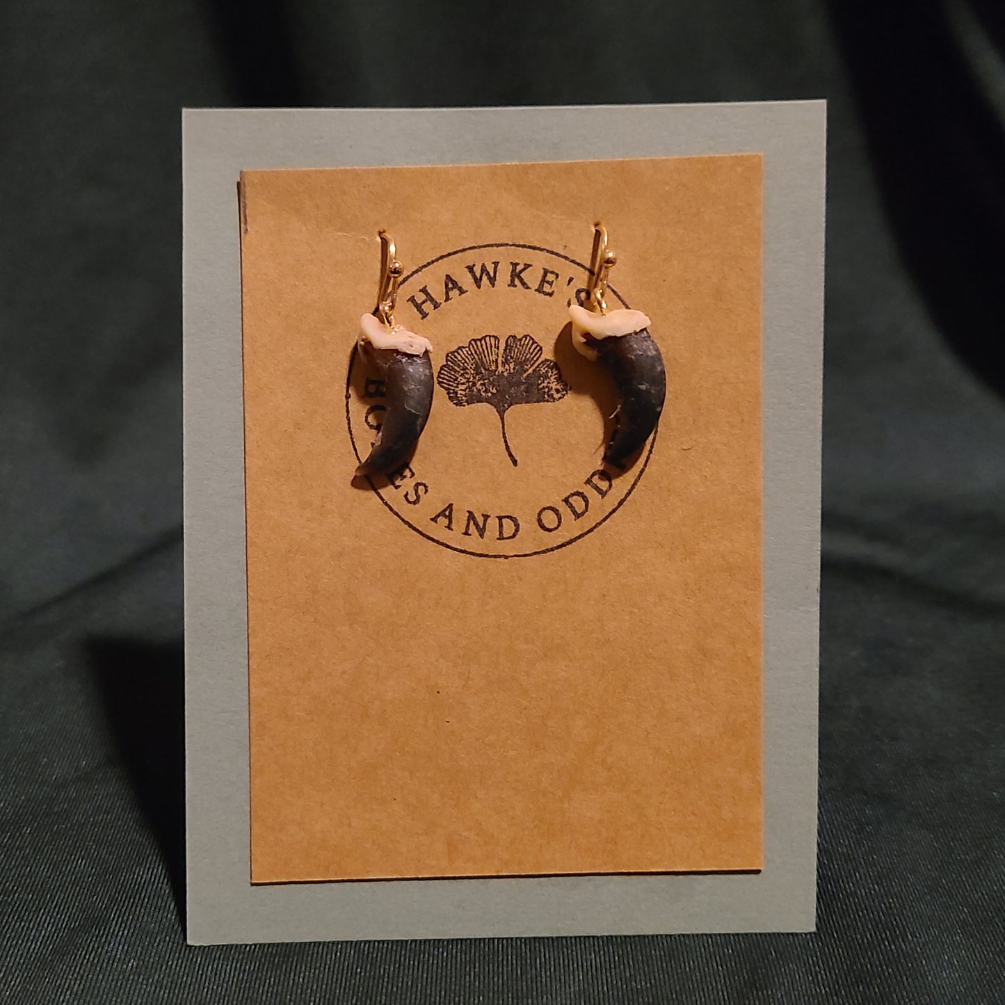 Coyote Claw Earrings