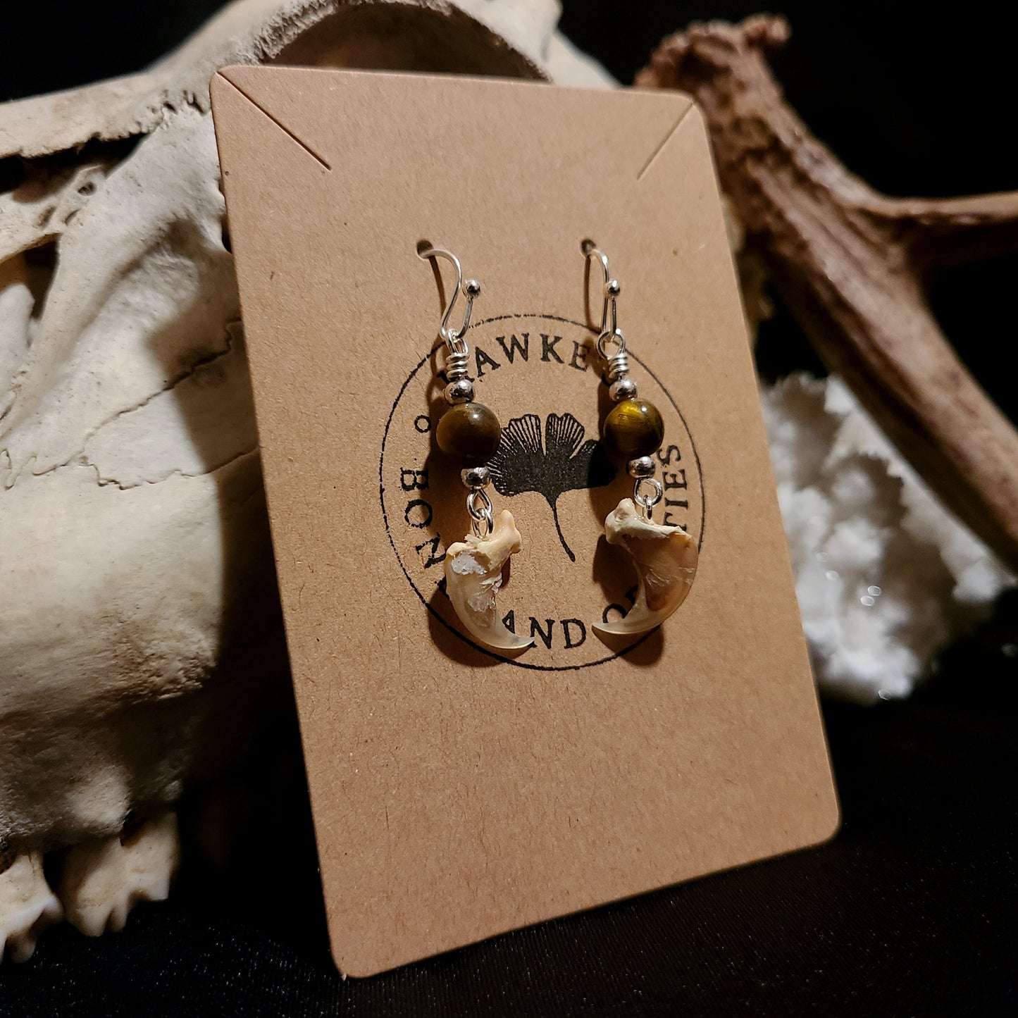 Bobcat Claw and Tiger's Eye Dangle Earrings