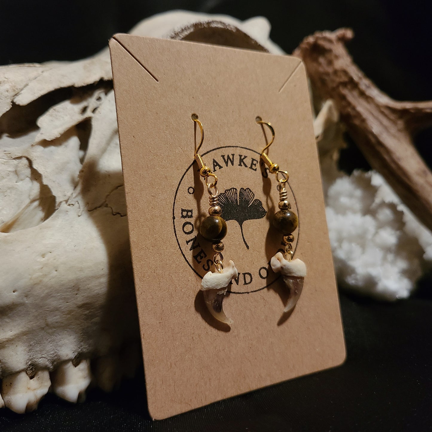 Bobcat Claw and Tiger's Eye Dangle Earrings