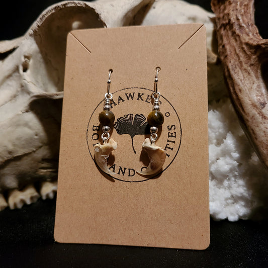 Bobcat Claw and Tiger's Eye Dangle Earrings