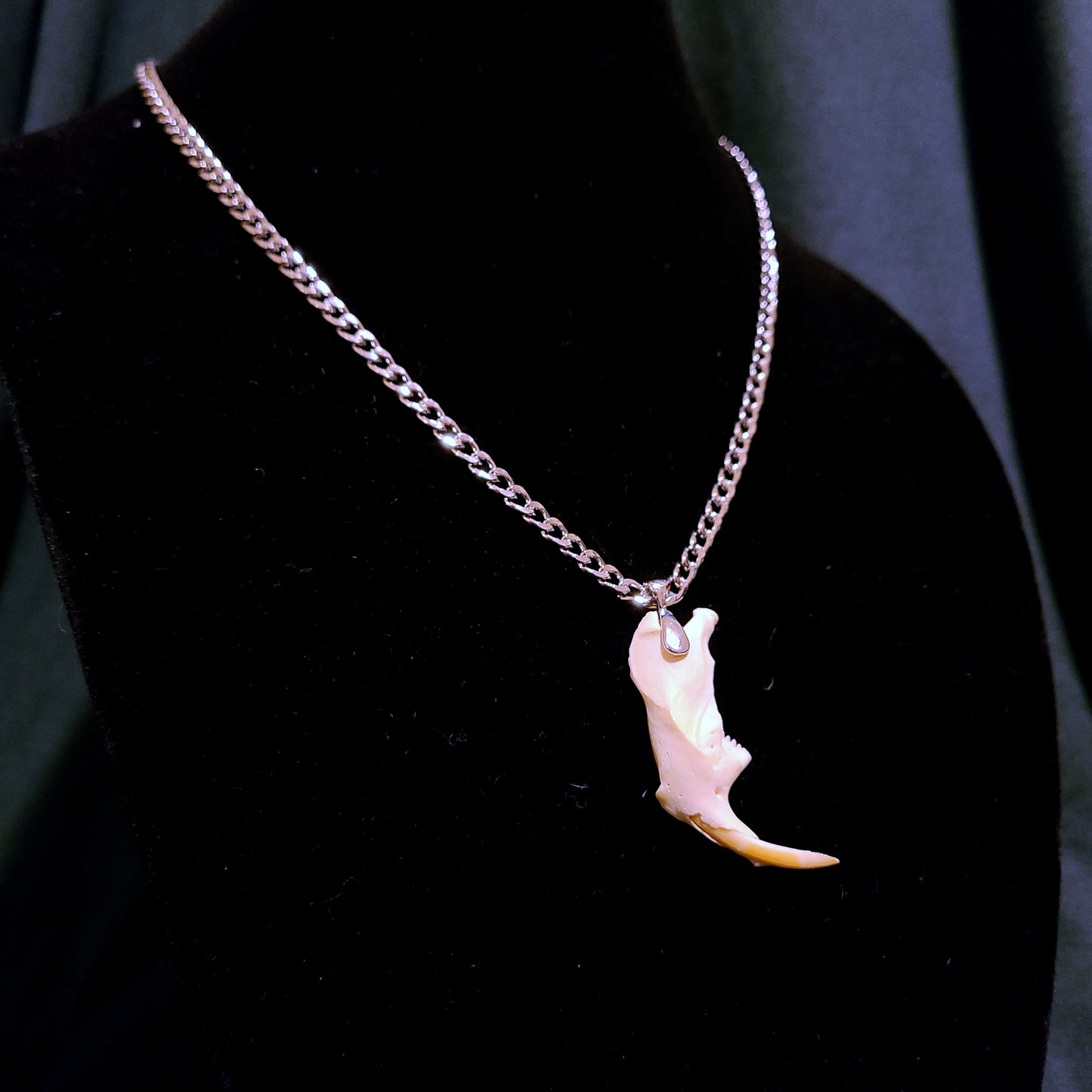 Muskrat Jaw Pendant Necklace