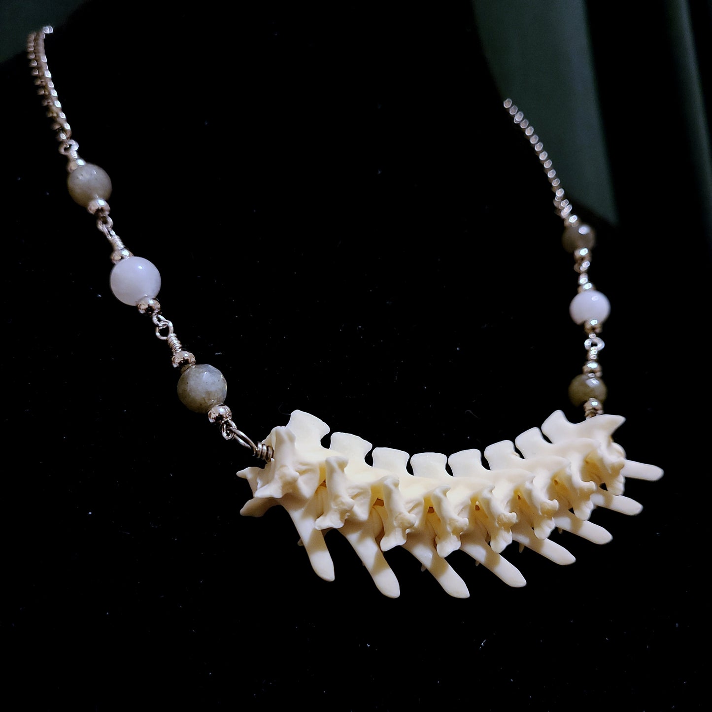 Articulated Rattlesnake Vertebrae Necklace