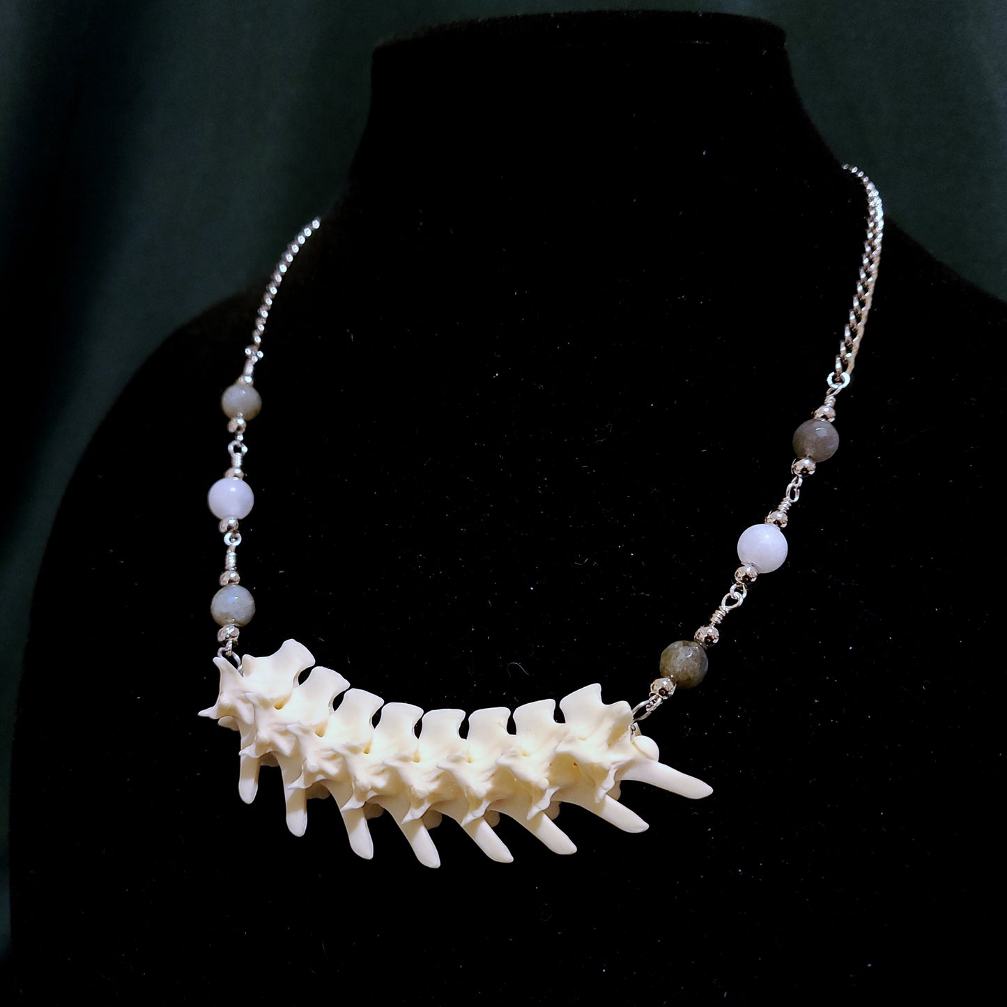 Articulated Rattlesnake Vertebrae Necklace