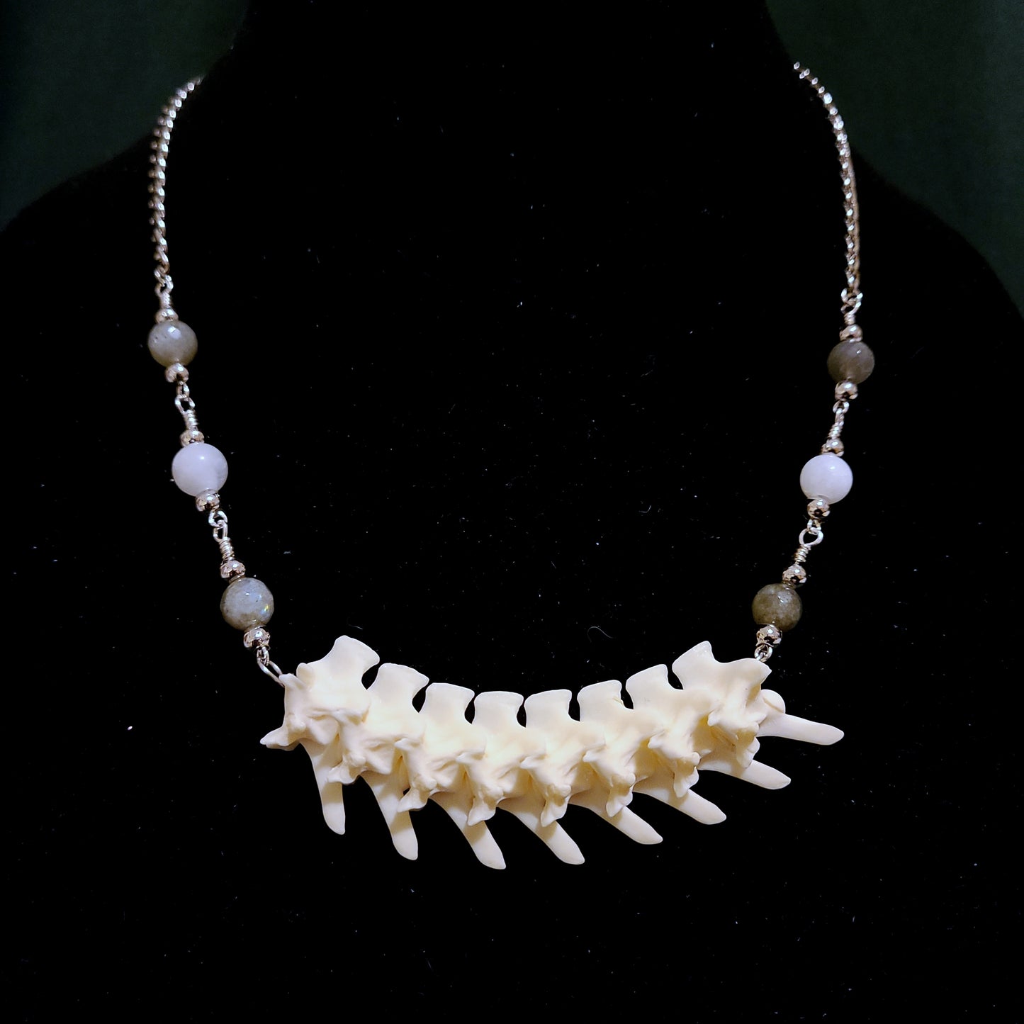 Articulated Rattlesnake Vertebrae Necklace