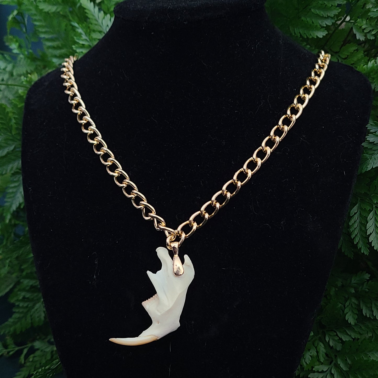 Muskrat Jaw Pendant Necklace