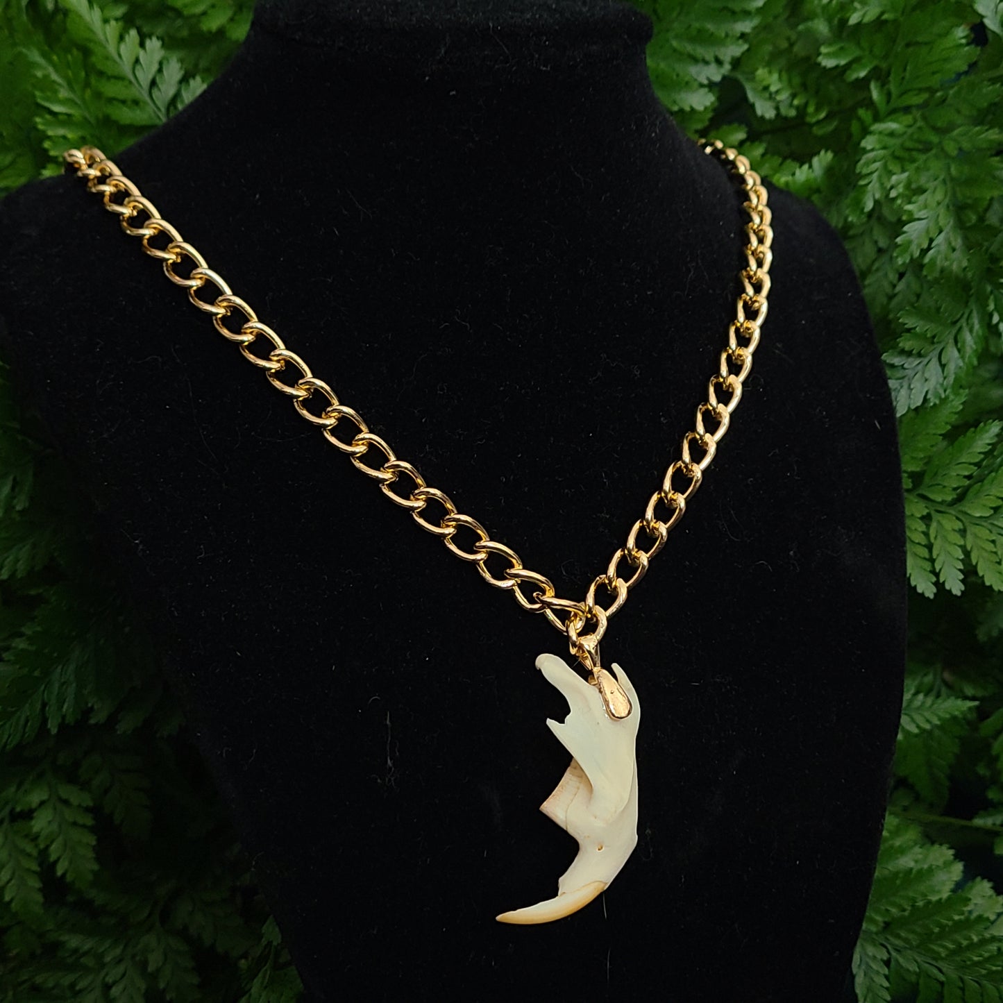 Muskrat Jaw Pendant Necklace