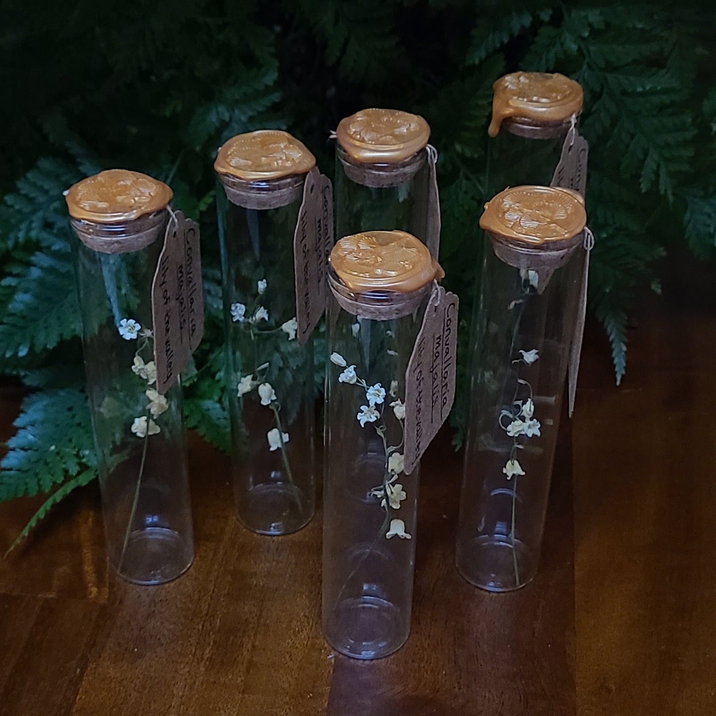 Lily of the Valley Specimen Vials