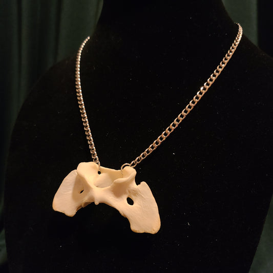 Coyote Atlas Necklace