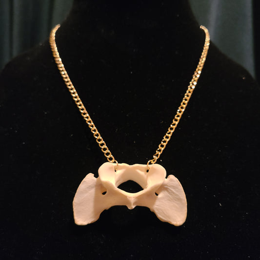 Coyote Atlas Necklace