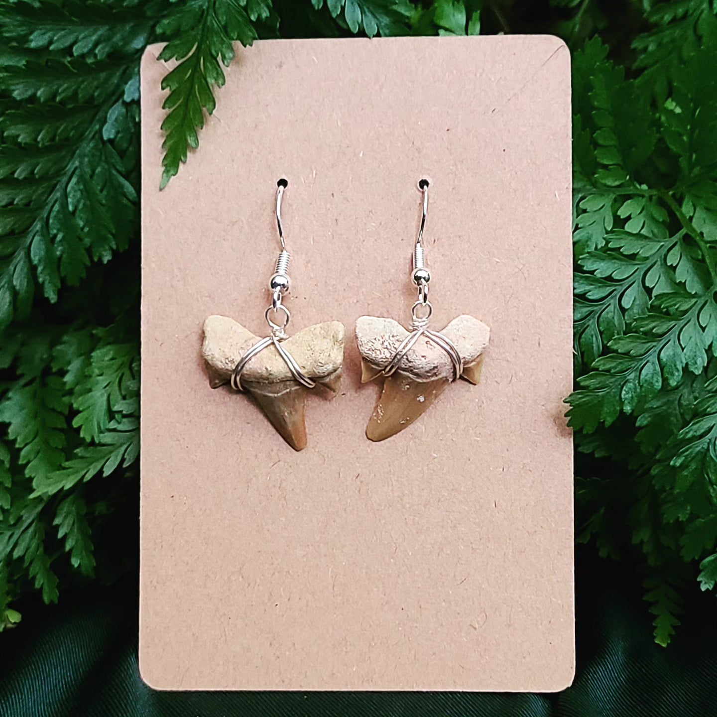 Shark Tooth Earrings