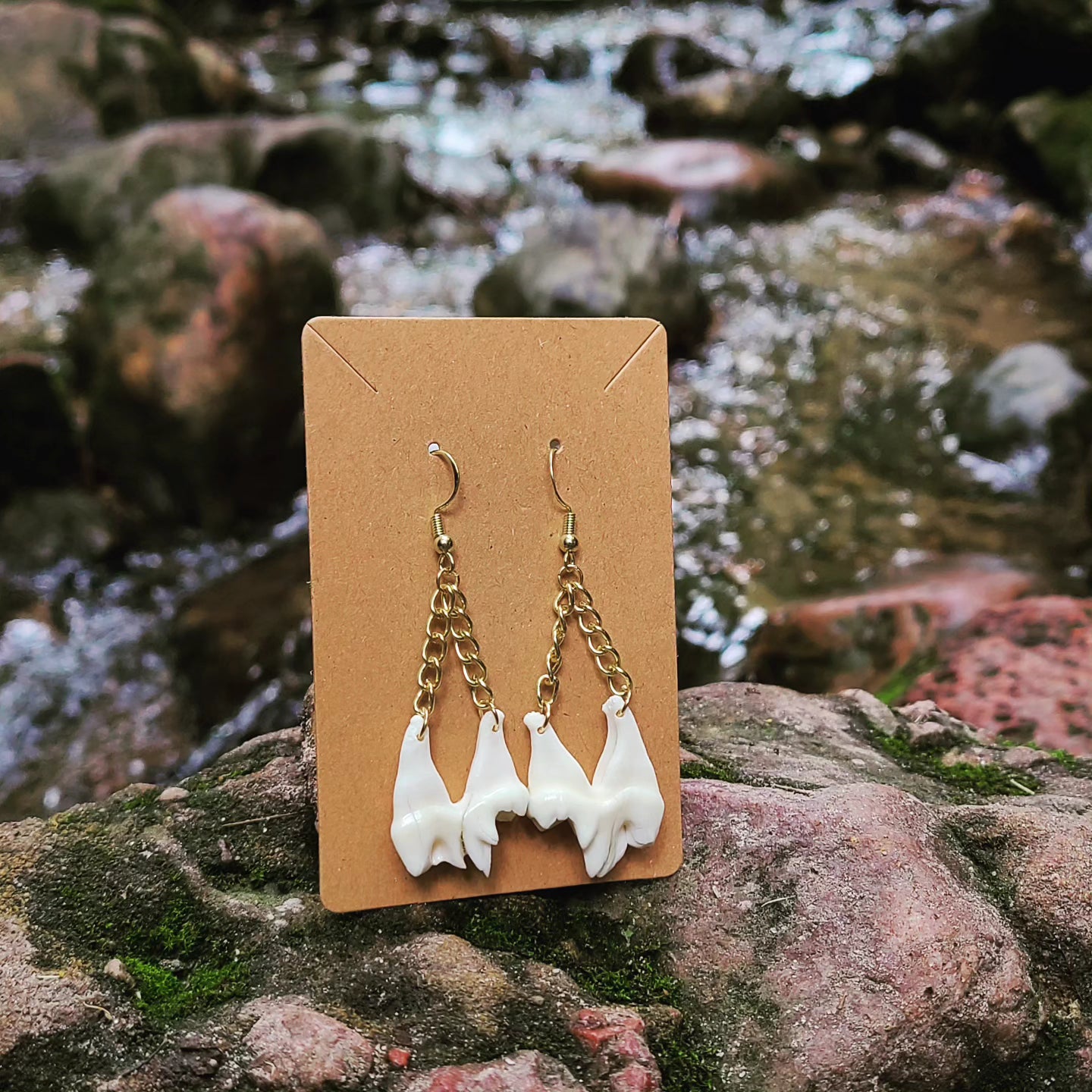 Coyote Molar Chain Earrings