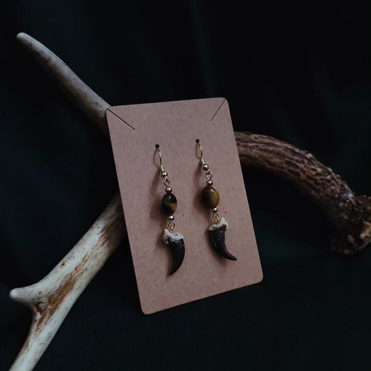 Coyote Claw Tigers Eye Earrings