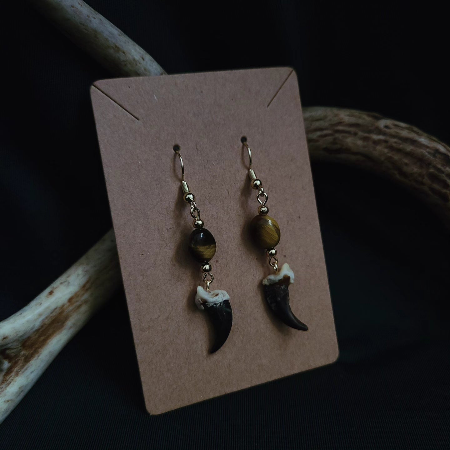 Coyote Claw Tigers Eye Earrings