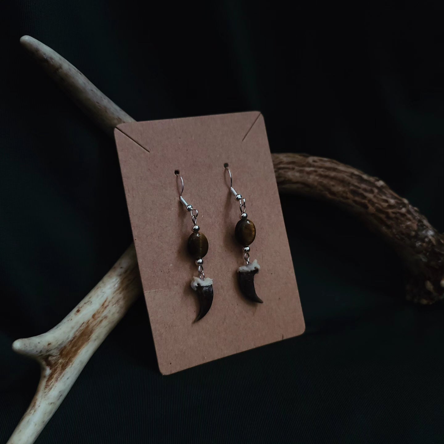 Coyote Claw Tigers Eye Earrings