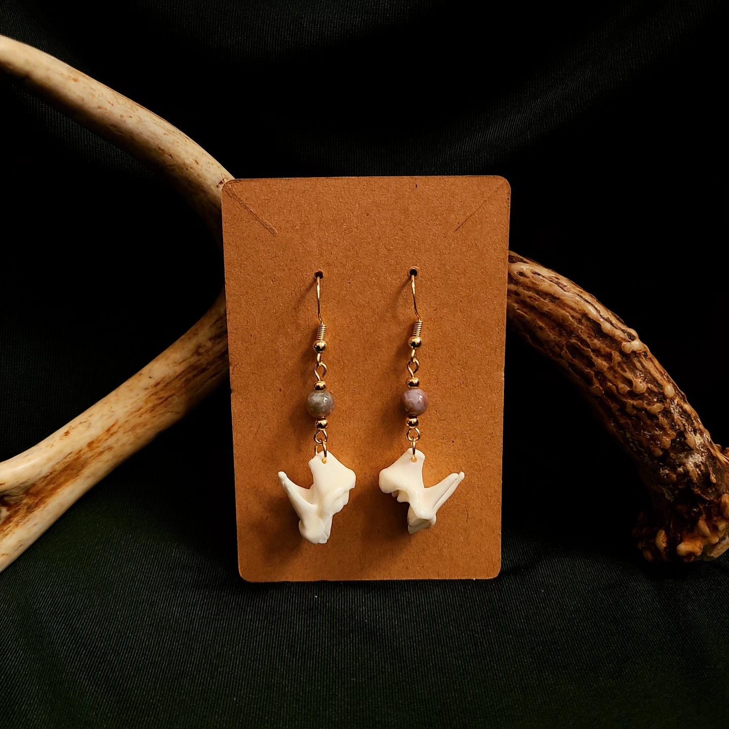 Coyote Molar Agate Earrings