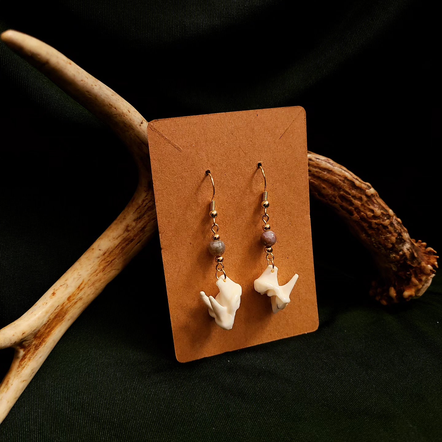 Coyote Molar Agate Earrings