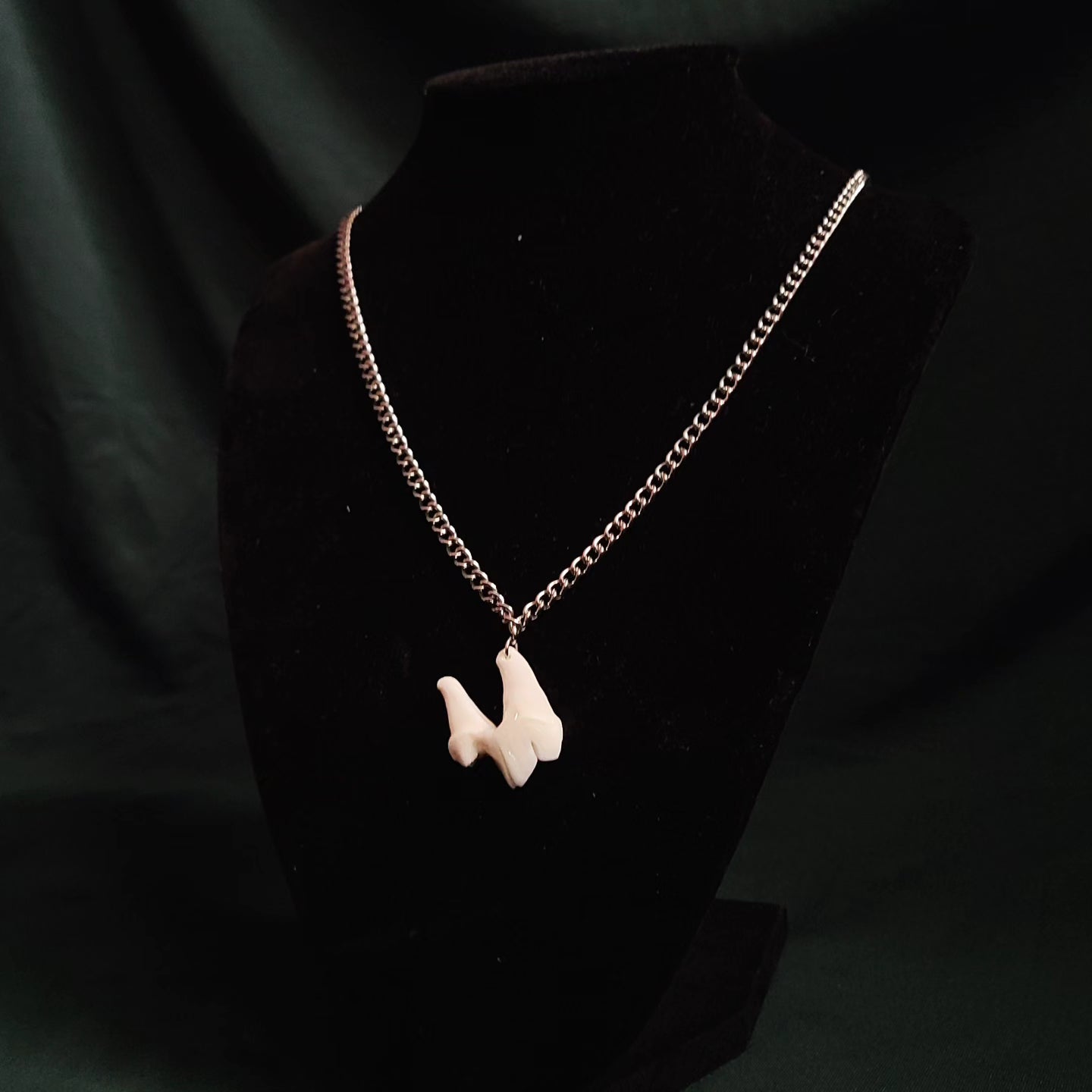 Coyote Molar Necklace