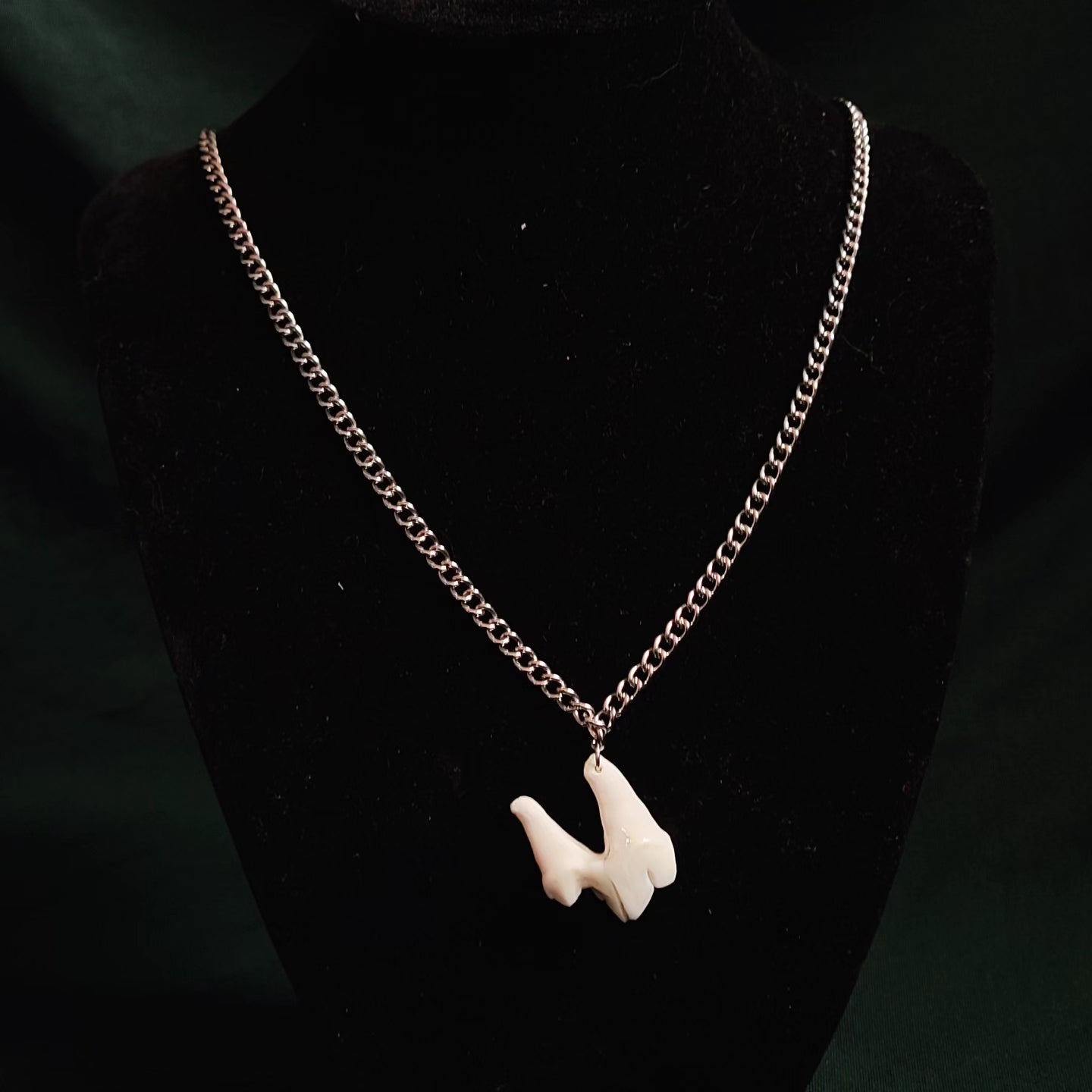 Coyote Molar Necklace